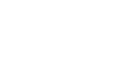 CTY TNHH TMDV XUẤT NHẬP KHẨU PHÚ ANH